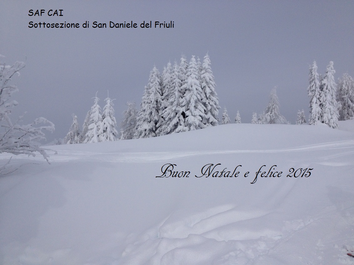 auguri 2014